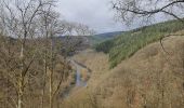 Trail Walking Houffalize - rando nadrin 14/03/2021 - Photo 14