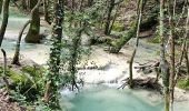 Trail Walking Nans-les-Pins - De Nans les pins vers les sources de l'Huveaune - Photo 5