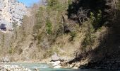 Tour Wandern La Palud-sur-Verdon - Verdon, le sentier Martel - Photo 15