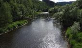 Tour Zu Fuß Schleiz - RWW Saale - Wisenta - Plothengrund - Photo 1