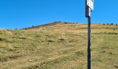 Tocht Stappen Metzeral - Petit-Ballon via Col du Hilsenfirst - Photo 10