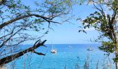 Trail Walking Bouillante - 🦎 Guadeloupe - Morne Lézard 🦎 - Photo 5