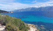 Trail Walking Saint-Florent - st Florent phare de Motella et plage Lotu - Photo 6