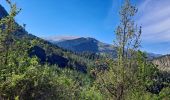 Tocht Stappen Clamensane - Clamensane - Col de la Croix - Chapelle St-Amand - Photo 6