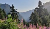 Tour Wandern Cauterets - Pont d'Espagne  -  Refuge des Oulettes de Gaube - Photo 9