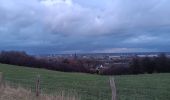 Trail Walking Riemst - montagne St-Pierre / St Pietersberg - Photo 7