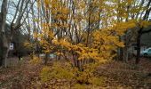 Trail Walking Saint-Clément-de-Rivière - St Clément Grand Devois Le Lez - Photo 10