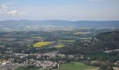 Tour Wandern Souspierre - Souspierre: Serre Forillon 9km - Photo 1