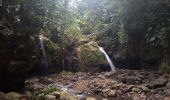 Tocht Stappen Vieux-Habitants - Cascade de Beaugendre - Photo 2