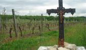 Randonnée Marche Cahors - CC_Velay_DC_15_Cahors_Lendou-En-Quercy_20080506 - Photo 3