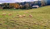 Trail On foot Saint-Germain-sur-École - Boucle Soisy Sur Ecole - Photo 8