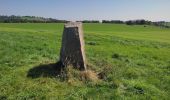 Trail Walking Saint-Nectaire - Menhir et Dolmen - Photo 4