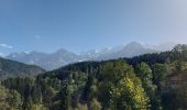 Tocht Stappen Les Houches - 20231008 Les Houches Vaudagne Charousse - Photo 3