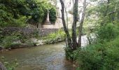 Tour Wandern Entrecasteaux - Entrecasteaux 20-05-2020 - Photo 1