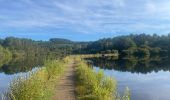 Randonnée Marche Royère-de-Vassivière - Boucle du Lac de Vassivière - Photo 7