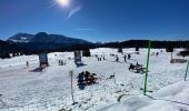 Randonnée Raquettes à neige Vaulnaveys-le-Haut - Lac Achard - Photo 19