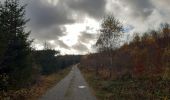 Tour Wandern Malmedy - malmedy . ferme libert .  tro maret . ferme libert . malmedy par les crêtes  - Photo 9