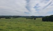 Tour Wandern Bastnach - rando lutrebois 2-06-2022 - Photo 9