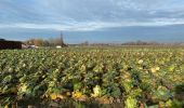 Randonnée Marche Anzegem - Kaster 16,5 km - Photo 13