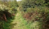 Trail On foot The Municipal District of Dundalk - Loop Walk - Photo 4