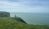 Tocht Stappen Étretat - Etretat - Yport par le GR 21 - Photo 4