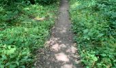 Trail Walking Asse - 20220612 WSV Zellik 6 km - Photo 13