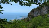 Trail Walking Castellar - Castellane - roc d'Ormea - Photo 1