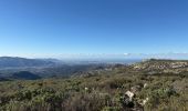 Randonnée Marche Marseille - La Treille - Allauch - Photo 1