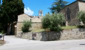 Percorso A piedi Passignano sul Trasimeno - Passignano - Poggio Belveduto - Photo 10