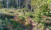 Tour Wandern Comblain-au-Pont - Comblain-au-Pont d´une rive à l´autre - Photo 19