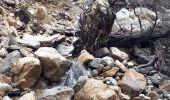 Trail Walking Saint-Martin-Vésubie - Boreon, Refuge Cougourde, Lac Trecolpas - Photo 8