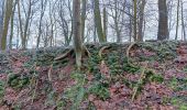 Trail Walking Liège - dans la réserve naturelle de l'université - Photo 11