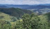 Tocht Stappen Soudorgues - Vallée Salindrenque - Photo 18