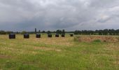 Tocht Noords wandelen Livron - Livron capsus Barzun plateau capbat - Photo 8