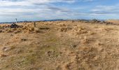 Trail On foot Banks Peninsula Community - Te Ara Pātaka - Photo 7