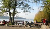 Tocht Te voet Uster - Greifensee - Niederuster - Photo 3