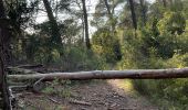 Tocht Stappen Cheval-Blanc - Balade canal avec les chiens - Photo 1