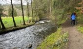 Trail Walking Monschau - Rando Eifel des jonquilles narcisses 18,3 - Photo 3
