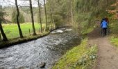 Tocht Stappen Monschau - Rando Eifel des jonquilles narcisses 18,3 - Photo 3