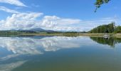 Tocht Stappen Seekirchen am Wallersee - Le tour du Wallersee - Photo 16