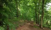 Randonnée Marche Notre-Dame-de-Bondeville - Randonnée en forêt Domaniale de Normandie - Photo 3