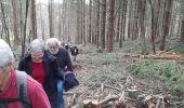 Randonnée A pied Rosiers-d'Égletons - Le Puy des Places - Photo 2