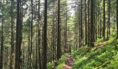 Trail Walking Bad Peterstal-Griesbach - Buhlbachsee & Lotharpfad - Photo 6