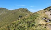 Percorso Marcia Saint-Jacques-des-Blats - st Jacques les B plomb du cantal  - Photo 1