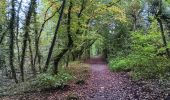 Tocht Stappen Seraing - les bois de l abbaye - Photo 6