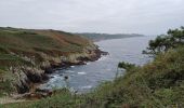 Tocht Stappen Douarnenez - GR34 Douarnenez-- Pors Peron - Photo 9