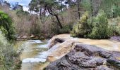 Tour Wandern Mazaugues - NSB5-MazauguesPivautI-220424 - Photo 9