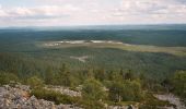 Tour Zu Fuß Pelkosenniemi - Noitatunturin valloitus (Summer hiking route) - Photo 8