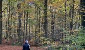 Excursión Senderismo Bierbeek - Meerdael Nord  - Photo 9