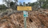 Tocht Stappen Baixas - baixas chapelle ste catherine - Photo 1